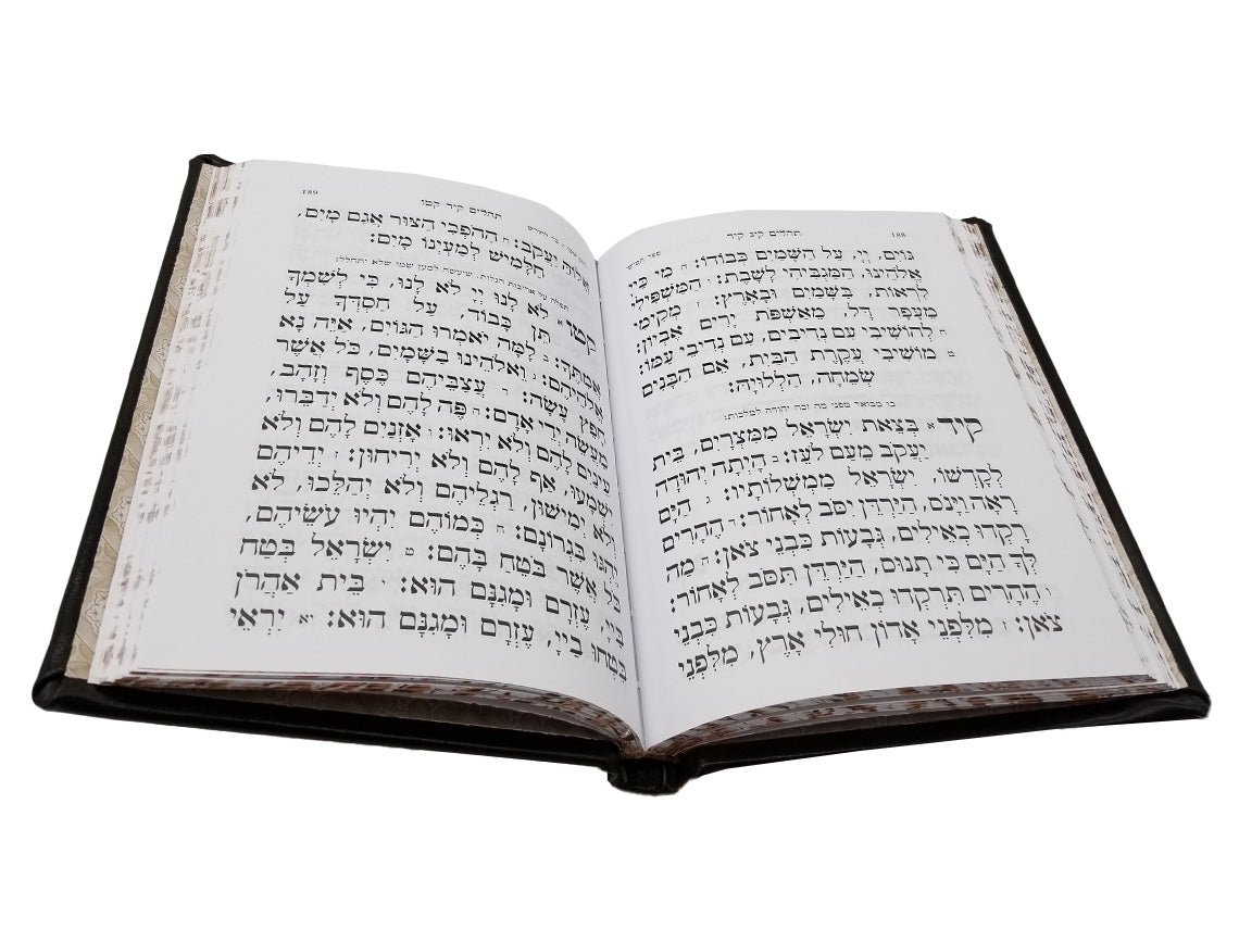Open pages of the medium Tehillim, antique border cover, showing the Hebrew text layout