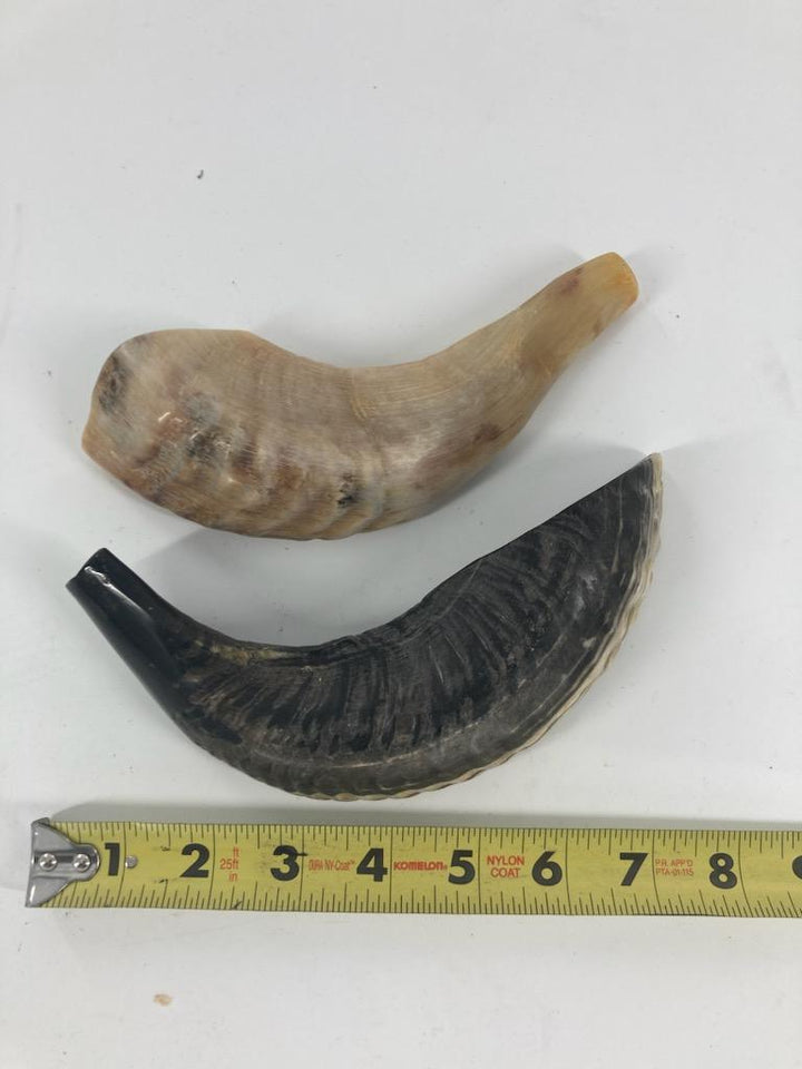 Shofar (Ram Horn) Select Size