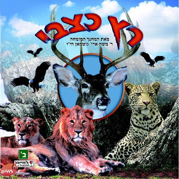 Ratz Katzvi 2 - רץ כצבי 2