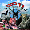 Ratz Katzvi 2 - רץ כצבי 2