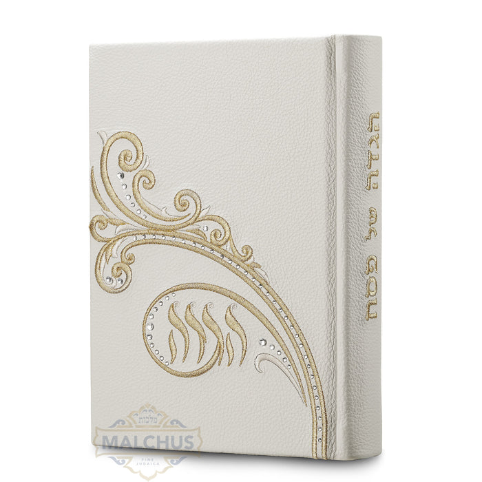 Custom Hagadah Cover #900 - Judaica Accessories