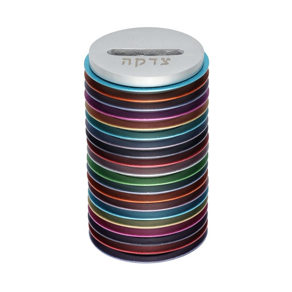 Emanuel Tzedakah Box Discs