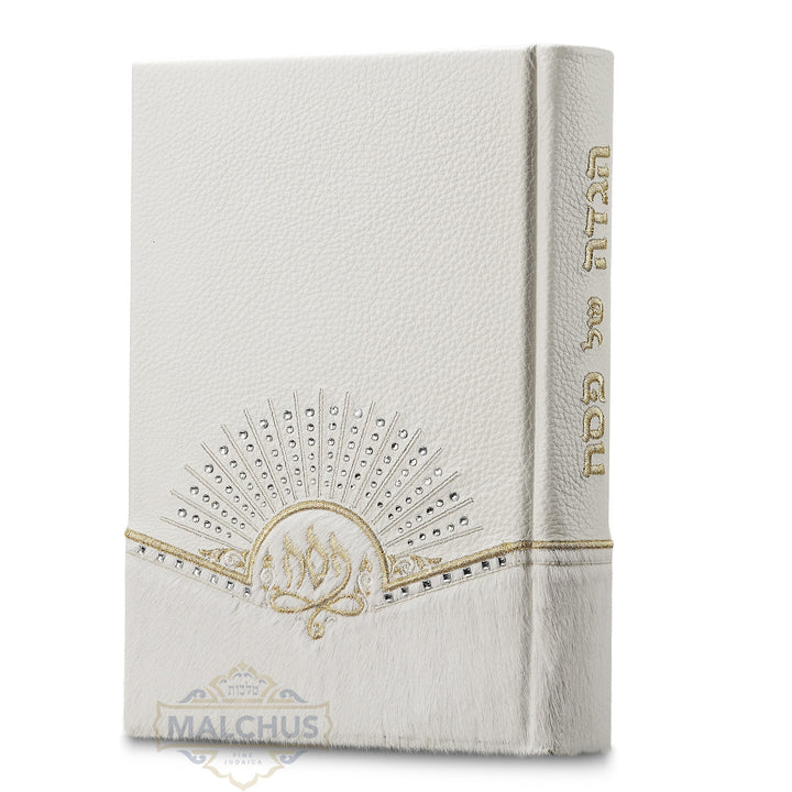 Custom haggadah cover design 826 | Judaica Square Lakewood