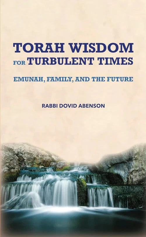Front cover of Torah Wisdom For Turbulent Times