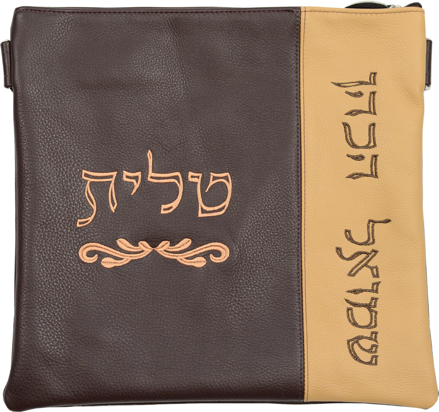 Prestige Contemporary Leather Tallit & Tefillin Bag (390C-BR)