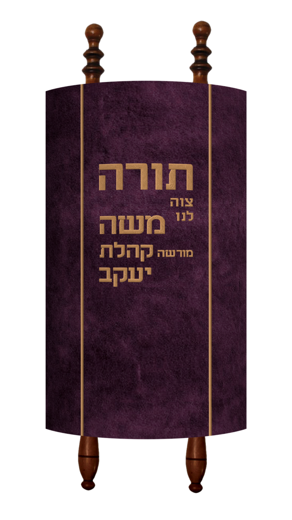 Prestige Velvet Torah Mantel (TM530-PL)
