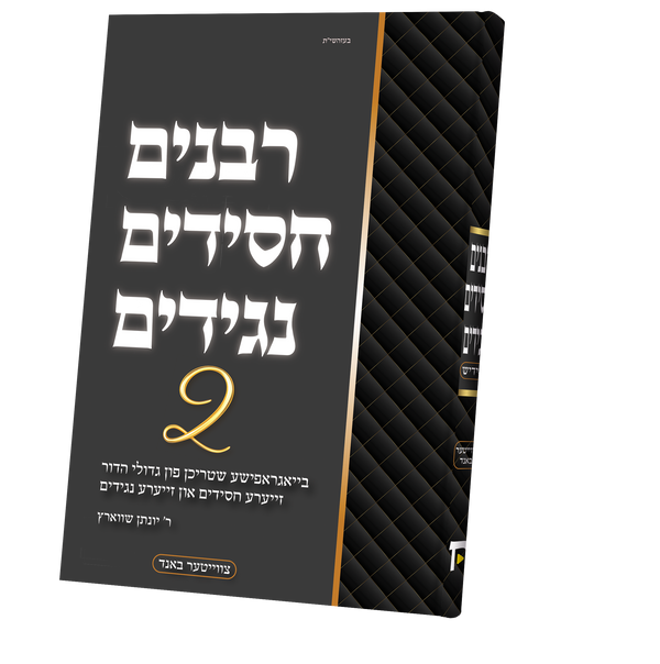 Rabbanim Chassidim Naggidim #2 | Judaica Square Lakewood