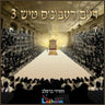 Deim Rebbins Tish 3 (Double Album) - דעם רעבינ'ס טיש 3