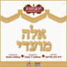 Aileh Moadei - אלה מועדי