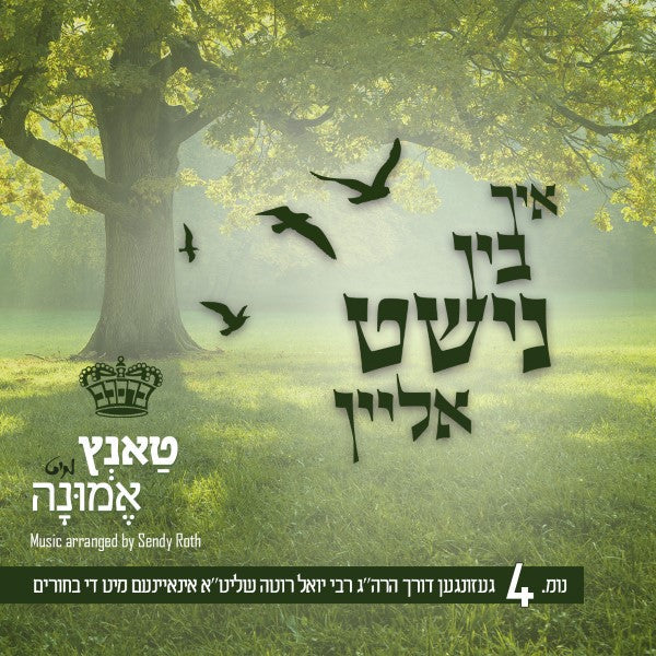 Tantz Mit Eminah 4 - Ich Bin Nisht Alein - טאנץ מיט אמונה 4 - איך בין נישט אליין by Lechaim Music