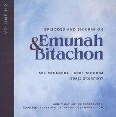 Torah 2 Go: Episodes and Shiurim on Emunah and Bitachon (USB)
