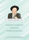 Torah 2 Go: R' Yehuda Jacobs - Chanukah, Chinuch & Tomer Devorah (USB)