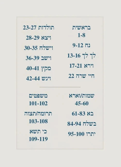 Torah 2 Go: Beis HaLevi Al HaTorah - Sef