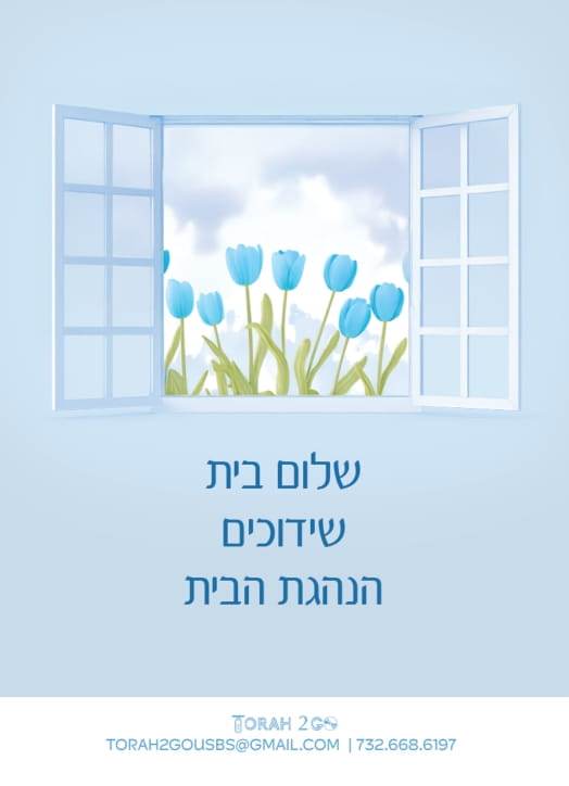 Torah 2 Go: Shalom Bayis, Shidduchim & Hanhagas HaBayis (USB)