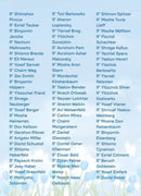 Torah 2 Go: Shalom Bayis, Shidduchim & Hanhagas HaBayis (USB)