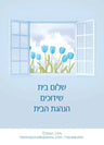 Torah 2 Go: Shalom Bayis, Shidduchim & Hanhagas HaBayis (USB)