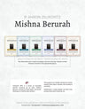 Torah 2 Go: R' Ahron Zelikovitz - Mishna Berurah (USB)