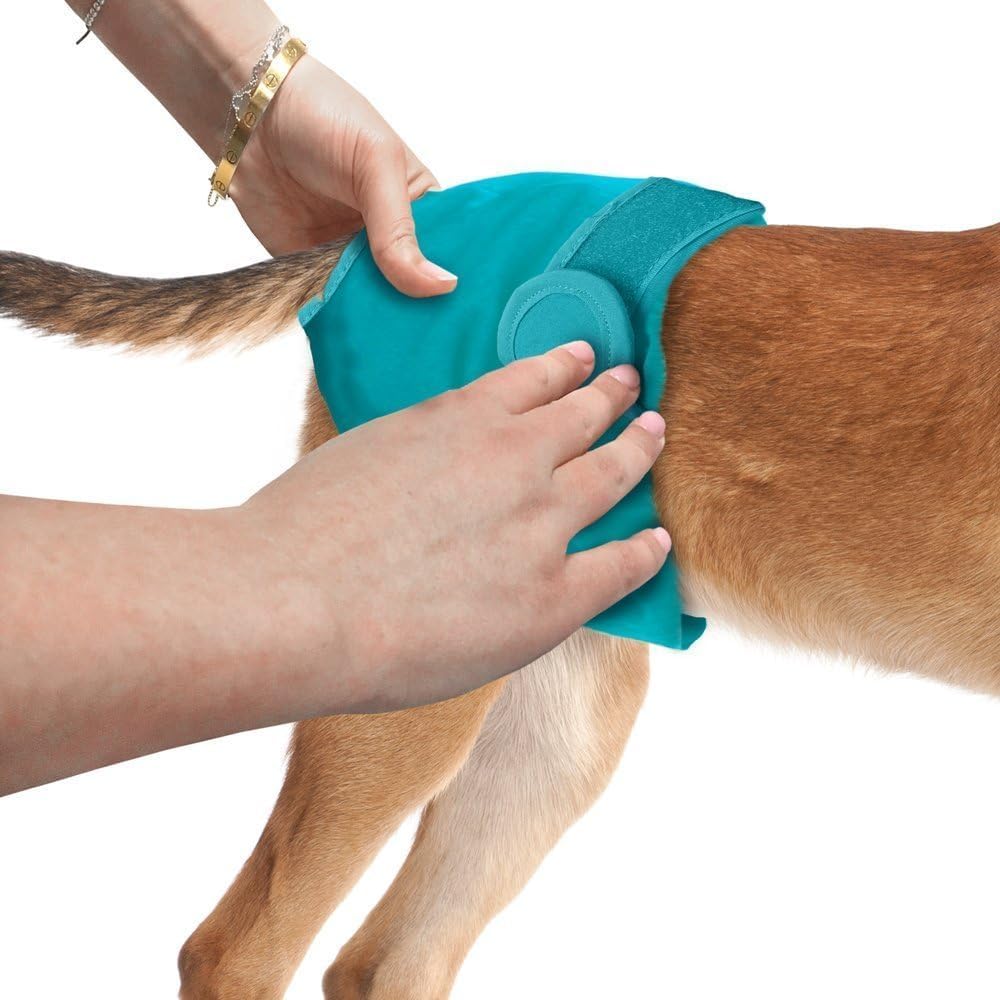 Simple Solution Washable Dog Diaper Cover-Ups, Small - 2-Pack — product view, view 3 | Judaica Square Lakewood