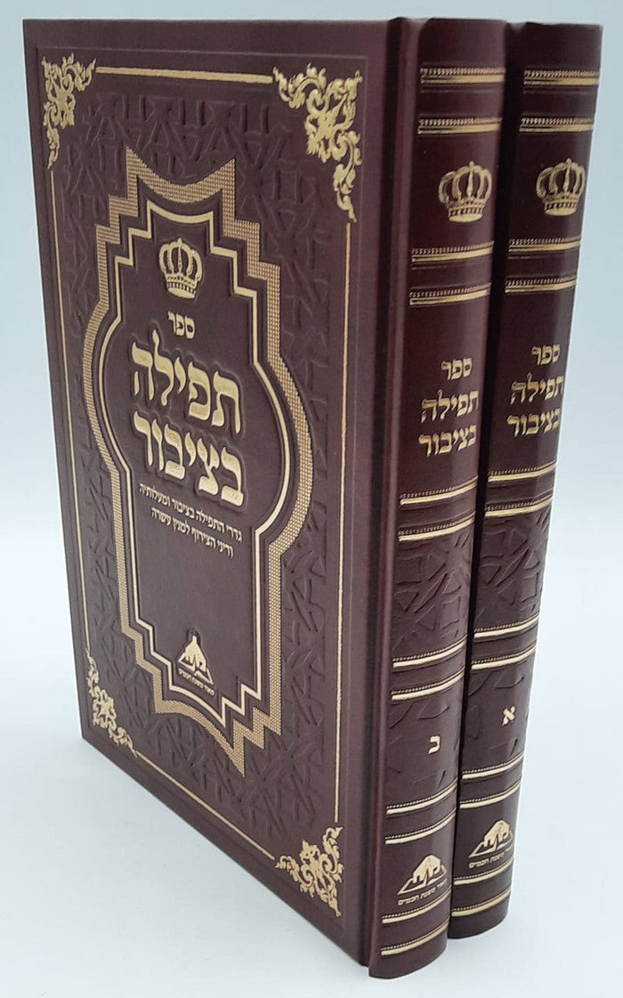 ספר תפילה בציבור ב' כרכים (BK-TBTZ)