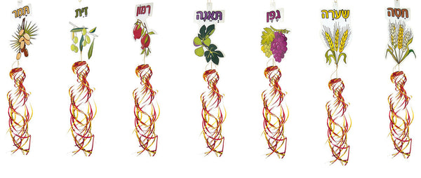 Set of Shivat HaMinim - Pack of 12  (71402)