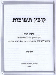 Kovetz Teshuvos R' Elyashiv Volume 6 - קובץ תשובות ר' אלישיב חלק ו