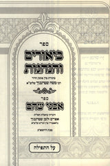 Sefer Biurim V'Hanhagos Al HaTefillah - ספר ביאורים והנהנות על התפילה