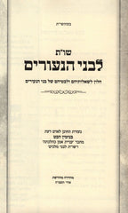 L'Bnei HaNeurim - לבני הנעורים