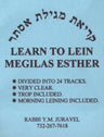 Learn To Lein Megilas Esther