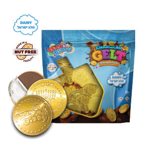 25pc Chocolate Coins in Bag — Judaica Square