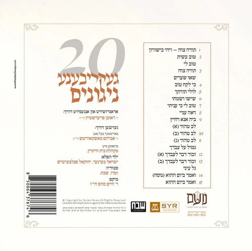 A Skulen Torah Farbreng 5 (USB) — Music
