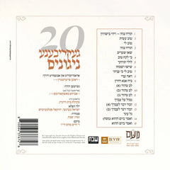 A Skulen Torah Farbreng 5 (USB)