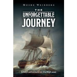 The Mysterious Journey, view 2 of 5