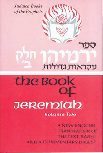 Judaica Press Nach (Prophets and Writings) -- INDIVIDUAL VOLUMES — Judaica Press (image 9)
