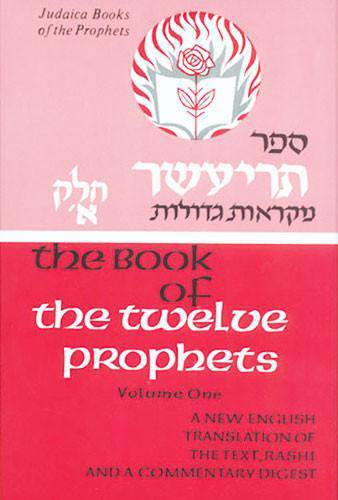 Judaica Press Nach (Prophets and Writings) -- INDIVIDUAL VOLUMES — Judaica Press (image 13)