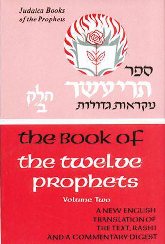 Judaica Press Nach (Prophets and Writings) -- INDIVIDUAL VOLUMES — Judaica Press (image 14)