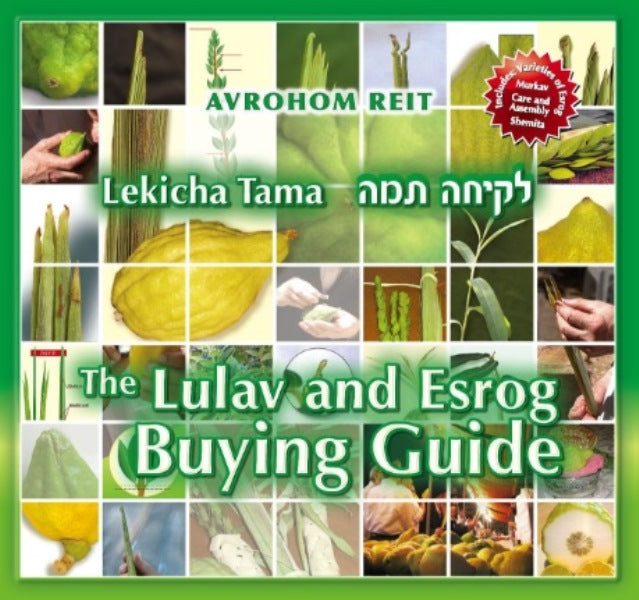Lekicha Tama: The Lulav and Esrog Buying