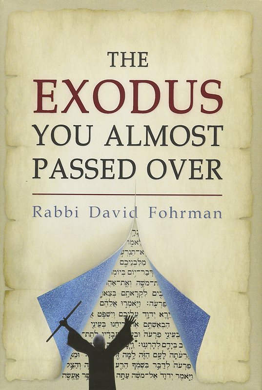 Front cover of The Exodus You Almost Passed Over