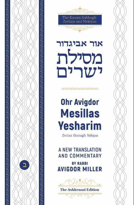 Front cover of Ohr Avigdor: Mesilas Yesharim - Volume 2