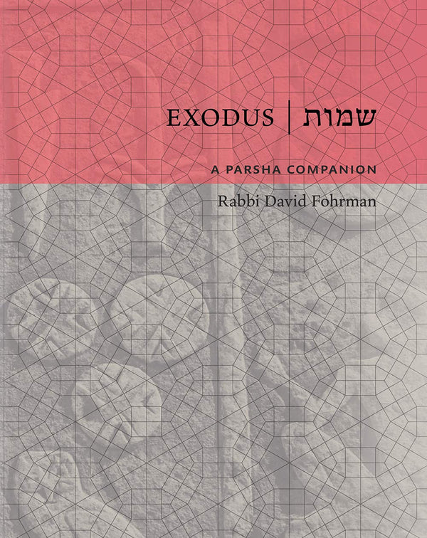 A Parsha Companion - Exodus — English Seforim from Rabbi David Fohrman