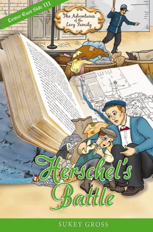 Adventures of The Levy Family: Lower East Side - Volume 3 — Children's Books from Sukey Gross