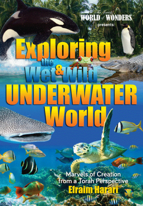 Exploring The Wet & Wild Underwater Worl