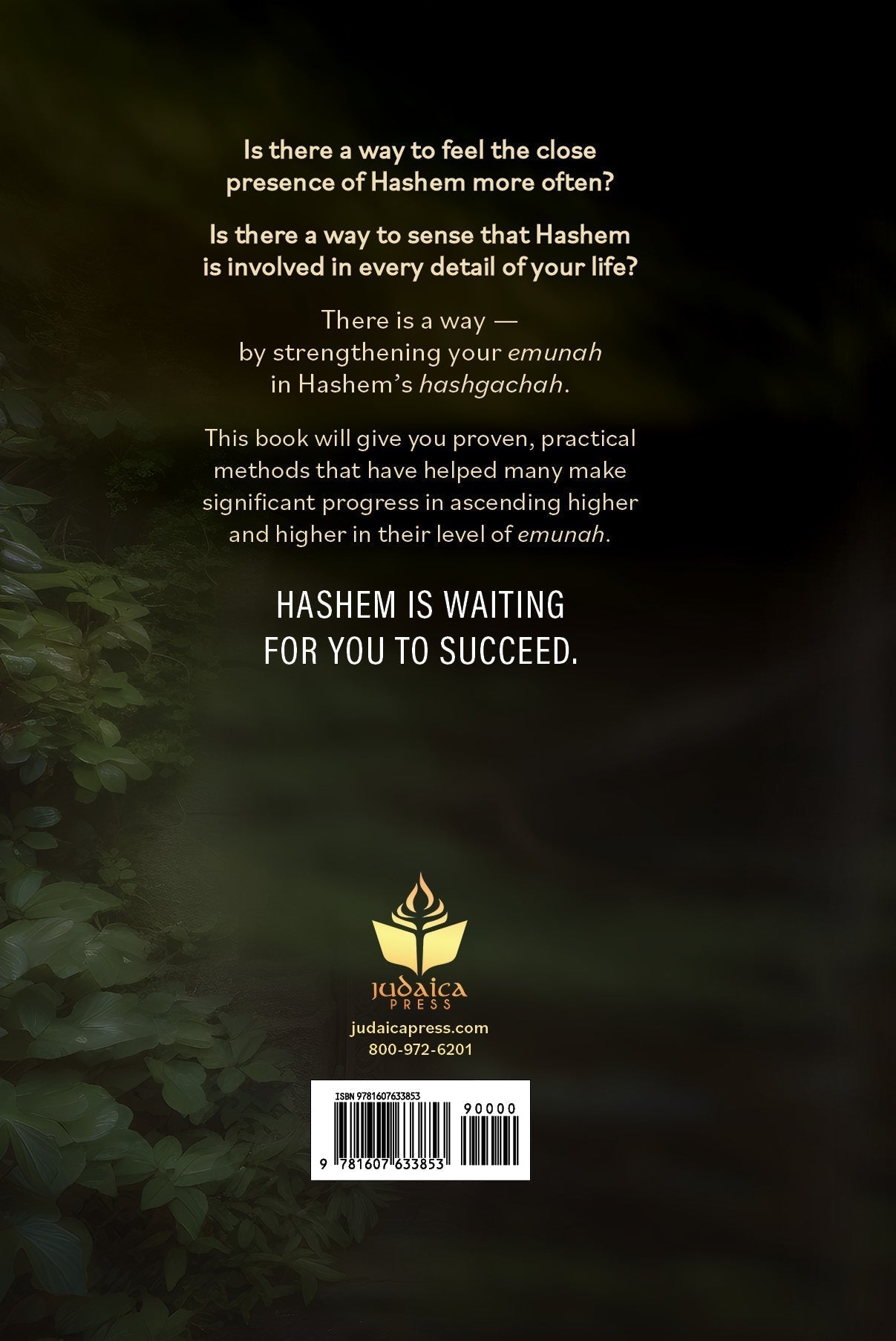 Unlocking the Secrets of Hashgachah Pratis by Rabbi Asher Sher — Judaica Press (image 9)