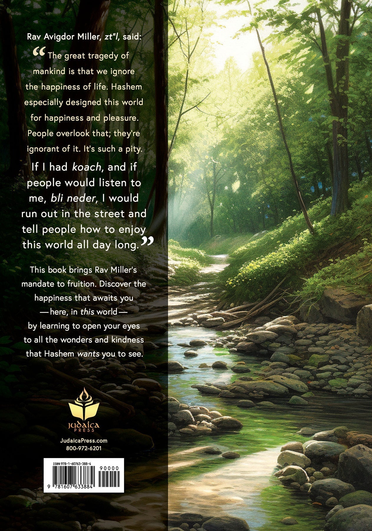 Enjoy His World by Rabbi Yehuda Schonfeld ﻿ — Judaica Press (image 18)