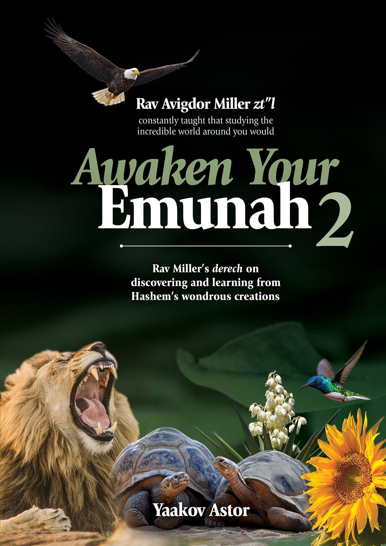 Awaken Your Emunah 2 by Yaakov Astor — Judaica Press (image 8)