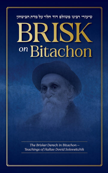 Brisk on Bitachon — brisker emunah and bitachon hardcover