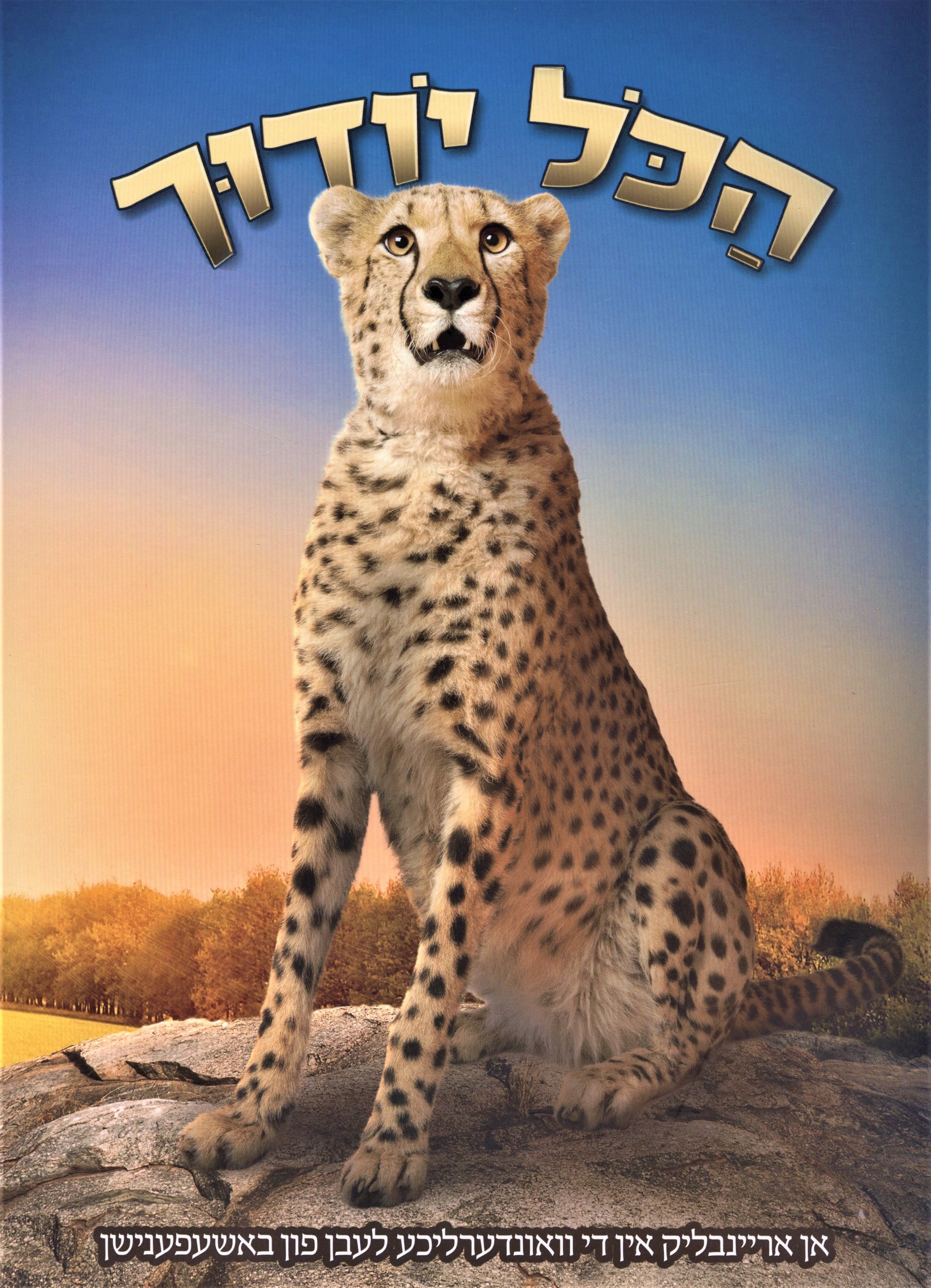 HaKol Yoducha Volume 3 - הכול יודוך חלק 