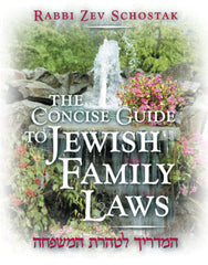 The Concise Guide To Jewish Family Laws