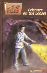 The 3-D Files: Prisoner On The Loose!
