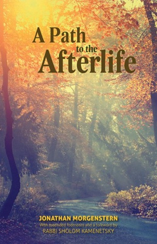 A Path To The Afterlife — English Seforim from Jonathan Morgenstern,Rabbi Sholom Kamenetsky