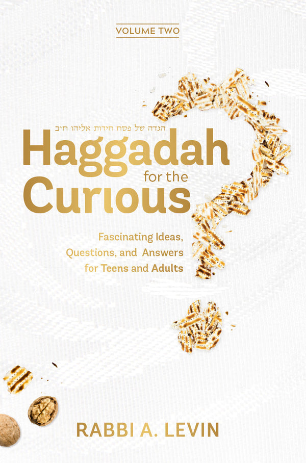 Haggadah For The Curious 2